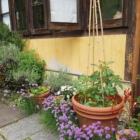 Ca Balossa Charming House And Garden - Tremezzina Di Como, Overlooking Bellagio And Balbianello Апартаменты *